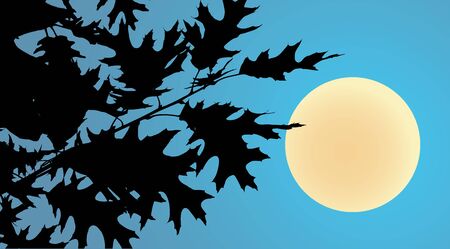 fall leaves as autumn backgroundのイラスト素材