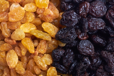 raisinの写真素材