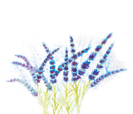 watercolor lavender abstract backgroundのイラスト素材