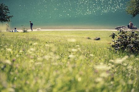 blue lake in the park with flowers on a sunny dayの写真素材