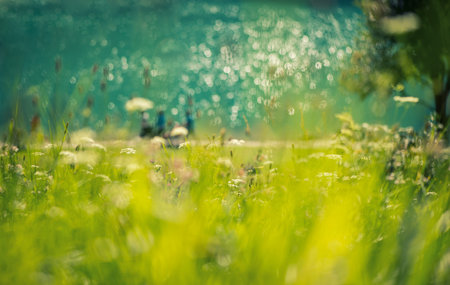blue lake in the park with flowers on a sunny dayの写真素材