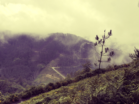 Nature Northern Portugal fields and mountains in fog. Atmospheric Photoの写真素材