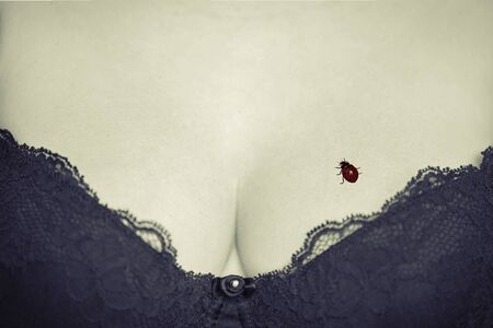 Ladybug on a woman's breastの写真素材