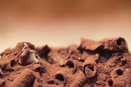piece of chocolate cake. Macro pictureの写真素材