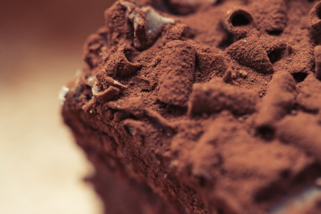piece of chocolate cake. Macro pictureの写真素材