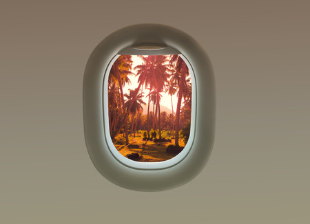 The palms trees on the island of La Digue in the plane window. Tropical Seychellesの写真素材