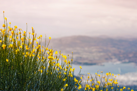 Panorama of the Greek city of Volos at sunset. Volos Greece. View from the mountain on the Volosの写真素材