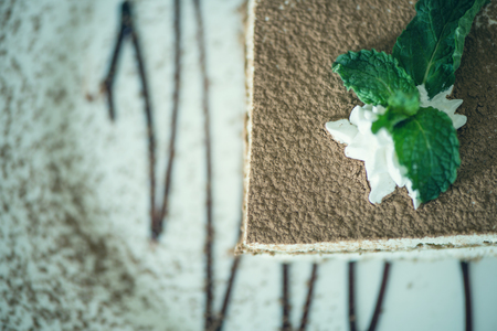 Italian dessert tiramisu with mint on a plate with chocolate line. Tiramisu view from aboveの写真素材