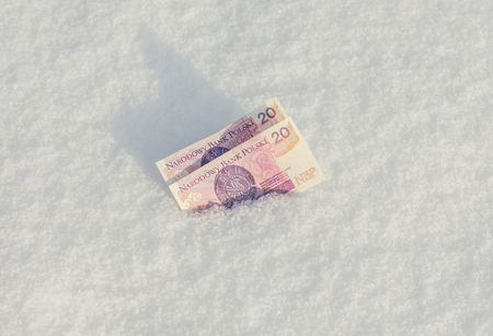 Banknotes of twenty Polish zloty in the snow. Frozen Accounts. Bankruptcy. Conceptの写真素材