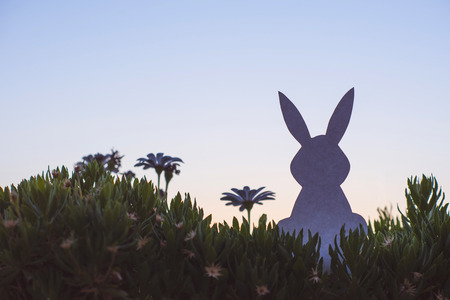 Creative easter photo of silhouette  paper rabbit in the chamomile flowers and green grass on the sunset sky background. Conceptの写真素材