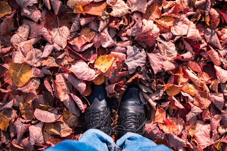 Autumn image of legs in black boots on the colorful leaves. Golden season. Concept.の写真素材