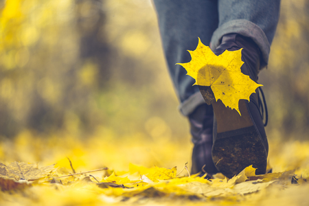 Yellow leaf stuck to the women's shoe during a walk through the autumn forest. Indian summer seasonの写真素材