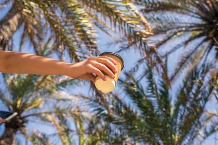Woman's hand with paper cup of coffee on the palm trees background.