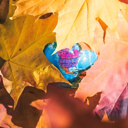 Close up of a small globe lies on colorful autumn maple leaves in the autumn forest. Concept. Selective focus.の写真素材