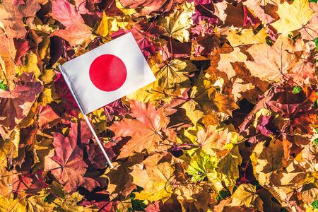 Japanese flag lying on the maple leaves in the autumn forest at the morning at dawn.  Concept. Top view. Indian summer.の写真素材