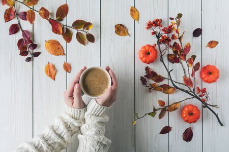 Woman with cup of coffee, leaves, small pumpkins and rowan on white retro wood boards. background. Autumn, fall concept. Flat lay, top view.の写真素材