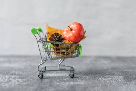 Green small toy shopping cart with leaves, cone and pumpkin on a concrete wall background. Autumn Concept.の写真素材