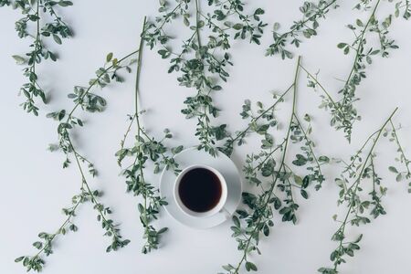 cup of herbal tea in branches with green leaves on a white table. Tea art. Flat lay, top view.の写真素材
