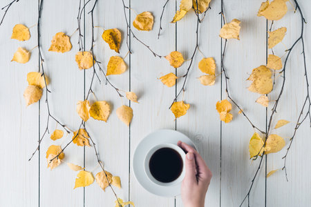 Woman with cup of coffee in the in birch branches with yellow leaves  on white retro wood boards....