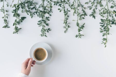 Female hands with a cup of coffee in branches with green leaves on a white table. Cofee art. Flat lay, top view.の写真素材