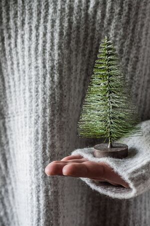 Girl in a knitted winter sweater holding a small christmas tree. Conceptの写真素材