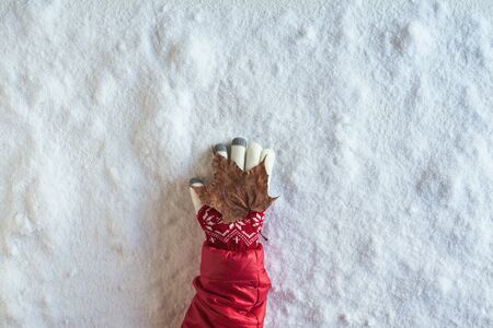 Female hand in a christmas winter gloves with dry maple leaf on snow. Changing season concept. First snowの写真素材