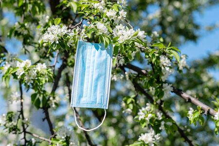 The hand of man holding a yellow toy taxi car on the background of blooming sakura. Ecology car. Concept. Taxi city service. Spring time.の写真素材