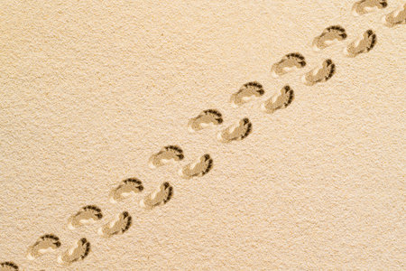 pair of footprints of adults  on a sandy beach. Aerial view. Family summer and travel concept....