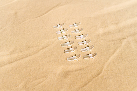 Aerial view of many sunbed, lounge on  private sandy beach. Summer and travel concept. Minimalism