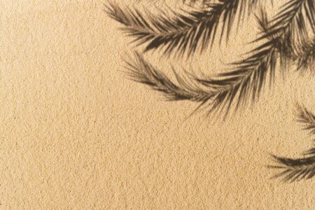 The shadow of a palm tree branch on the sand of a sandy tropical beach. Background, copy space, travel, summer concept. Flat layの写真素材