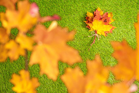 Top view of bouquet of colorful maple leaf on the green grass. Creative and minimalism. Season...