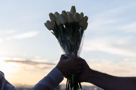 Silhouette of woman and man holding in their hands a bouquet of white tulips flowers against sunset beach.の写真素材
