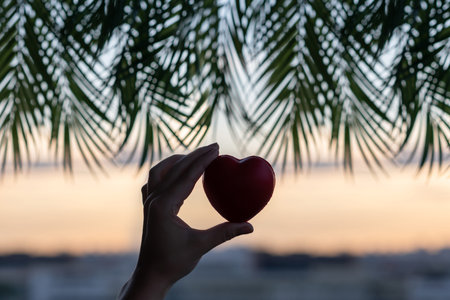 Girl hand holding red heart against the background of the sea in branches of palm trees. Sunset beach. Summer and freedom concept.の写真素材