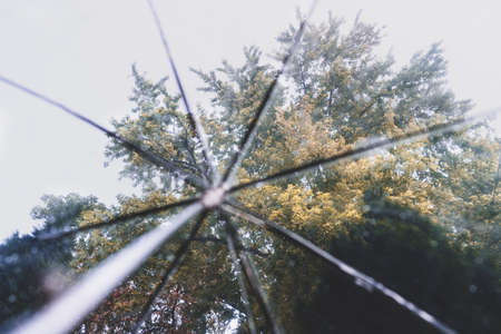 Autumn forest through wet transparent umbrella with rain drops. Conceptの写真素材