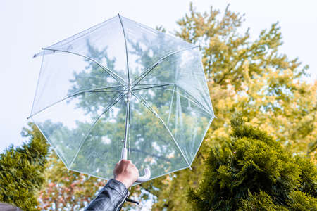 Autumn. Girl hand with transparent umbrella walking in a park, garden. Rainy day landscapeの写真素材