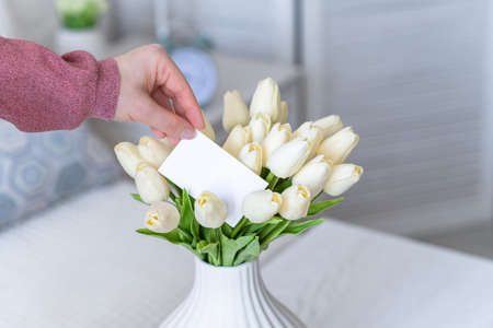 Woman pulling greeting card from bouquet of white tulips flowers.の写真素材