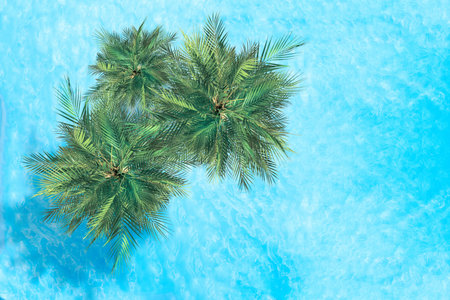 Blue transparent water surface of ocean, sea, lagoon with palm trees. Horizontal background. Aerial,...