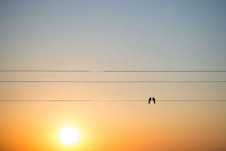 Two birds on a wire or electric line on the sunset sky background. Relationship conceptの写真素材
