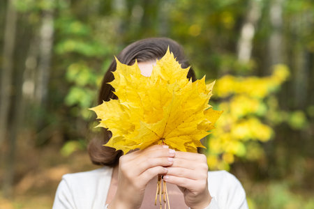 Beautiful happy young woman closing her face bouquet of yellow maple leaves in autumn parkの写真素材
