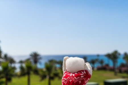 Woman hands in christmas gloves holding snowball opposite sea and palm trees. Winter vacation on beach concept. New yearの写真素材