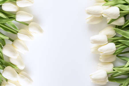 White tulips on white background. Valentines Day, Mothers day, Birthday, spring time. Celebration concept. greeting card template. Copy space, flat lay.の写真素材