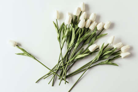 White tulips on white background. Valentines Day, Mothers day, Birthday, spring time. Celebration concept. greeting card template. Copy space, flat lay.の写真素材