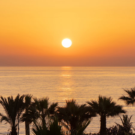 Silhouette of palm trees of sea beach against the backdrop of a huge setting sun on sunset sky. top view. panoramic viewの写真素材