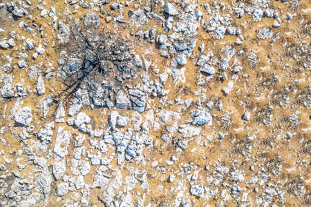 Burnt forest. Background and texture of mountain layers, clay, cracks, sedimentary rock and scorched spruce trees on cliff face. Drone, aerial viewの写真素材