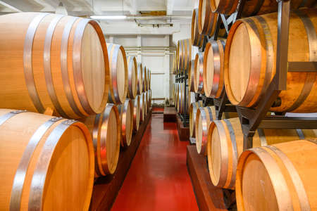 Vintage winery cellar with wine wooden barrelsの写真素材