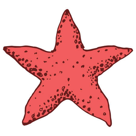Simple vector illustration of starfish in pink color, isolated on white background. Logo and icon design.のイラスト素材