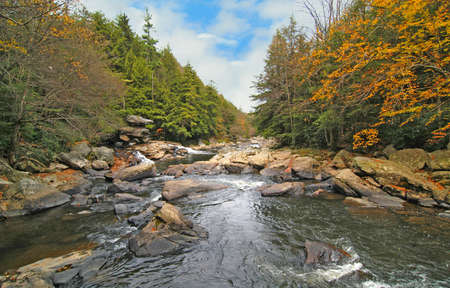 Wild river in Swallow Falls Maryland in Appalachian mountainsの写真素材