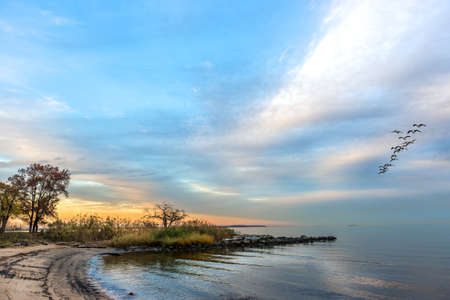 A flock of Canadian Geese soaring over an idyllic Chesapeake Bay beach during a beautiful sunset in Marylandの写真素材