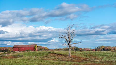Farm landscape with an old rustic red barn in a field of grass in the Maryland countryside during Autumn with blazing Fall Colorsの写真素材