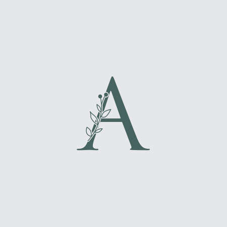 Graphic Floral Initial Alphabet A flowers bouquet composition. Unique collection for wedding invites decoration, logo and many other concept ideas.のイラスト素材